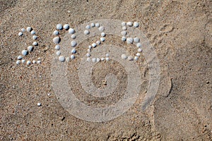 The figure `2025` is laid out on sand with shells.