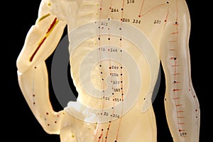 Figure used in acupuncture 3 photo