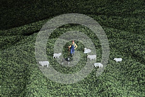 the figure of Working Sheep Dog, Herding Sheep