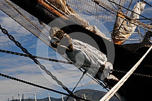 Figurehead of an ancient sailing ship