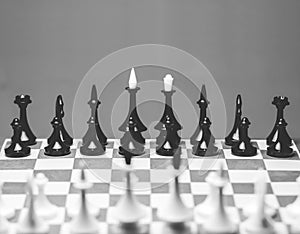 Figures on the chessboard