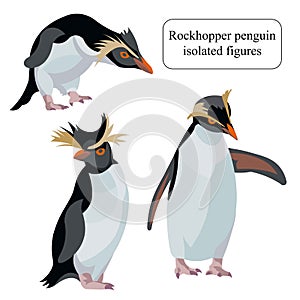 Figures of a southern american rockhopper penguin standing, leaning, raising wings photo