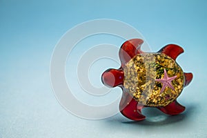 Turtle on a blue background