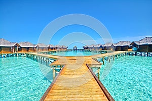 Fihalhohi island resort maldives