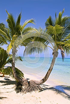 Fiji, Beach