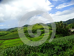 Fiji landscapes near the Navala village