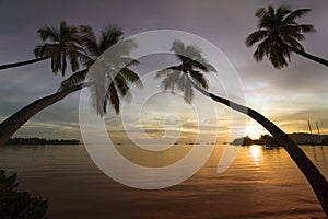 Fiji - Tropical Sunset - South Pacific