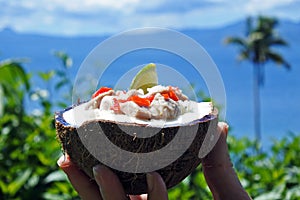 Fijian Food Kokoda against Tropical Island landscape