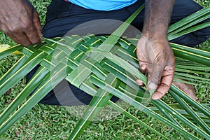 Fijian men create a basket from weaving a Coconut Palm leaves