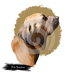 Fila Brasileiro, Brazilian Mastiff, Cao de fila brasileiro dog digital art illustration isolated on white background. Brazil