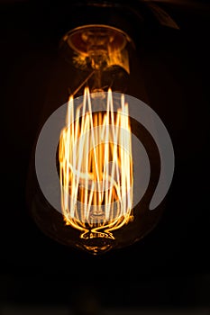 Filament inside warm light bulb