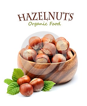 Filbert nuts with leaf .