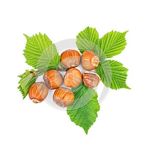 Filbert nuts with leaf