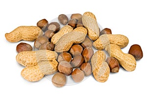 Filberts and peanuts