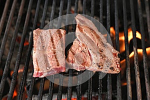 file ancho meat roasted on a charcoal barbecue lit wood with fire for roasting fish on the grill