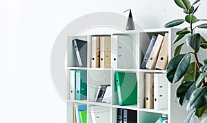 File folders, standing on the shelves at office
