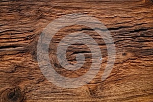 File of texture of bark wood use as natural background