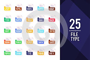 25 File Type Flat icon pack. vector illustration