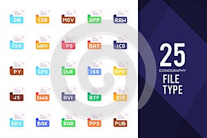 25 File Type Flat icon pack. vector illustration