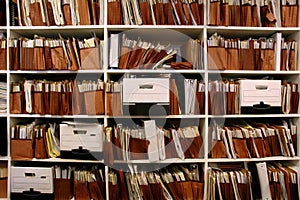 Files on Shelf photo
