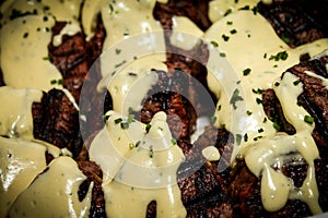 Filet Oscar: Beef Tenderloin topped with a Maryland Crab Cake and Bearnaise Sauce photo