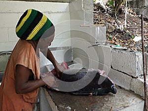 Fileting a large fish in the caribbean
