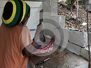 Fileting a large fish in the caribbean