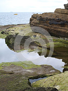 Filey Brigg Coastal Path.