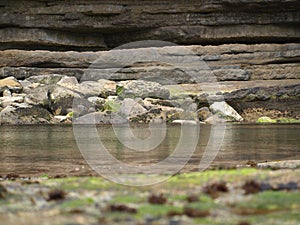 Filey Brigg Coastal Path.