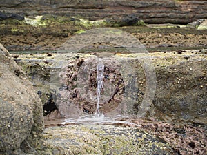 Filey Brigg Coastal Path.