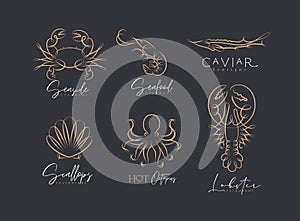 Filigree swirl sea creatures labels black