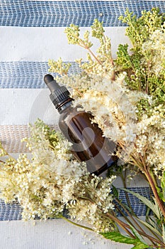 Filipendula ulmaria, known as meadowsweet or mead wort essential oil or elixir in small pipette bottle. photo