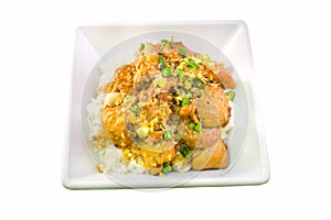 Filipino chicken adobo with rice in square bowl top view photo