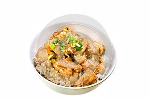 Filipino chicken adobo with rice top view