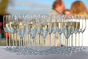 Filled champagne glasses on a cocktail party