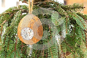 Filled Coconut Shell suet treats hanging at bird feeder