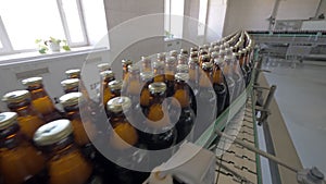 Filled and corked bottles on conveyor belt in beer factory