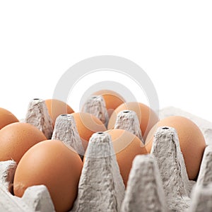 Filled egg carton package isolated