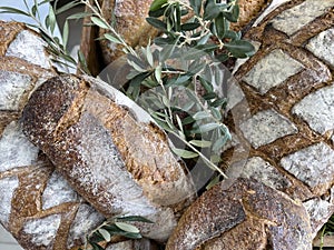Filled frame of freshly baked dark bread loafs and herbs