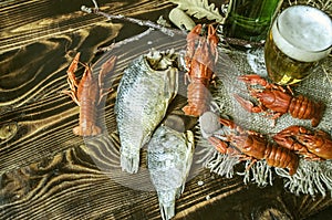 Filled glass with foamy beer, salted and dried carp with red cancers photo