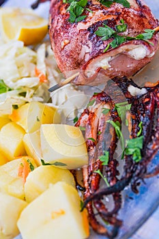 Filled grilled squid
