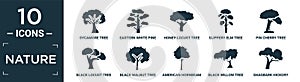 filled nature icon set. contain flat sycamore tree, eastern white pine tree, honey-locust tree, slippery elm pin cherry black