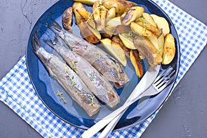 Fillet of herring on a plate and baked in the oven potatoes. Delicious traditional food of Holland. Dutch delicacy on a blue plate