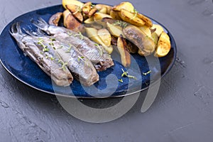 Fillet of herring on a plate and baked in the oven potatoes. Delicious traditional food of Holland. Dutch delicacy. Copy space,