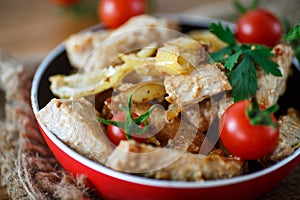 Fillet roasted turkey slices with vegetables