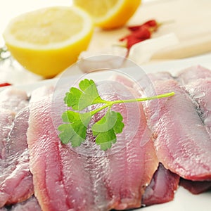 Filleted raw sardines photo