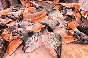 Filleted salmon fish with heads on fish mongers table.