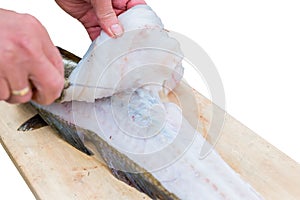 Filleting Fish photo