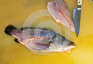 Filleting fish