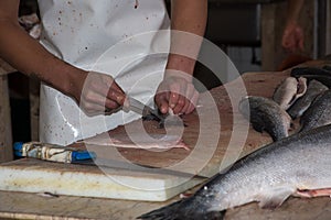 Filleting Fish photo